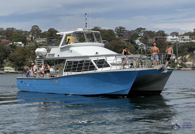BLUE CATT 55 ft Power Catamaran New Year's Eve Ticketed Cruise